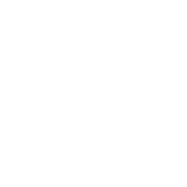 VeriDoc Global VeriDoc Global